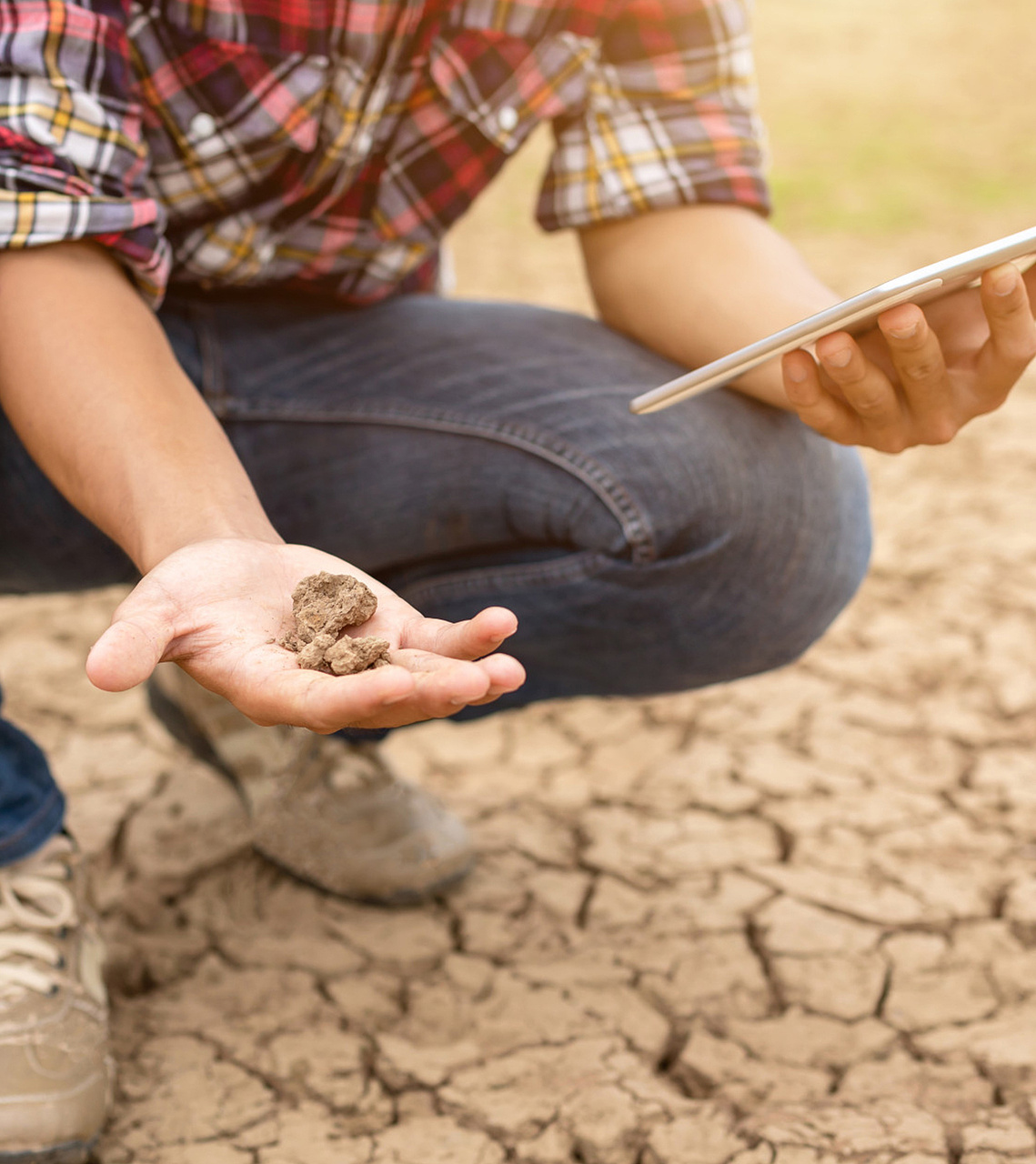 Drought Risk Management Project | Climate Resilience & Water Governance Iraq