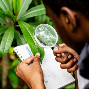 Environmental and Social Impact Assessment (ESIA): Project and Strategic Level Approaches