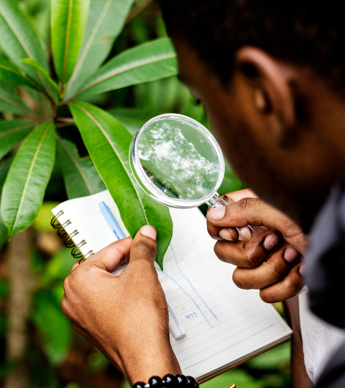 Environmental and Social Impact Assessment (ESIA): Project and Strategic Level Approaches