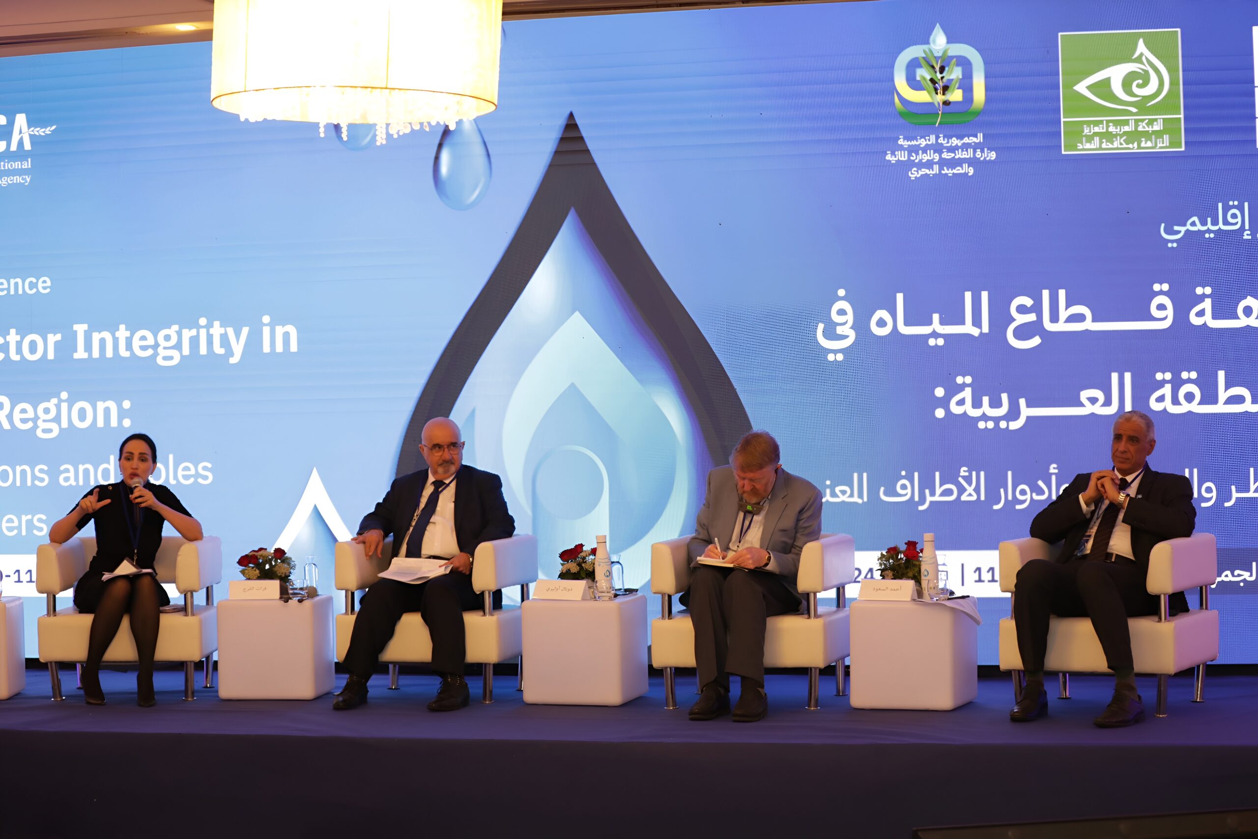 Nexus of Corruption and Water Sector in the Arab states region